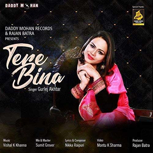 Download Tere Bina Gurlez Akhtar mp3 song, Tere Bina Gurlez Akhtar full album download
