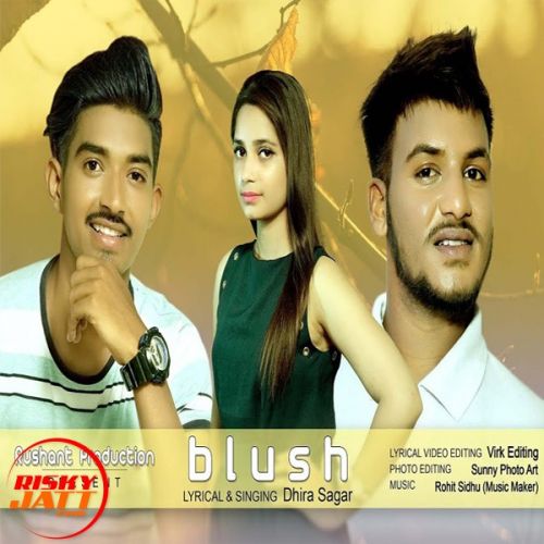 Download Blush Sagar Dhira mp3 song, Blush Sagar Dhira full album download