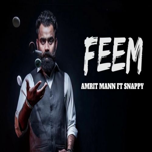 Download Feem Amrit Maan mp3 song, Feem Amrit Maan full album download