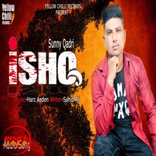 Download Ishq Sunny Qadri mp3 song, Ishq Sunny Qadri full album download