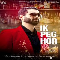 Navdeep Sodhi mp3 songs download,Navdeep Sodhi Albums and top 20 songs download