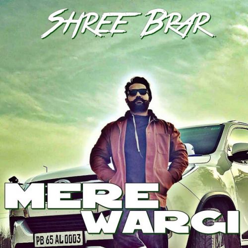 Download Mere Wargi Shree Brar mp3 song, Mere Wargi Shree Brar full album download