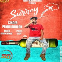 Pendu Dhillon mp3 songs download,Pendu Dhillon Albums and top 20 songs download
