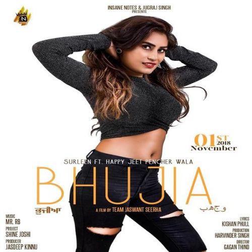 Download Bhujia Surleen mp3 song, Bhujia Surleen full album download