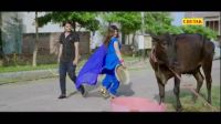 Jaji King and Sonal Khatri mp3 songs download,Jaji King and Sonal Khatri Albums and top 20 songs download