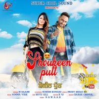 Download Shoukeen Putt M Saabh, Sudesh Kumari mp3 song, Shoukeen Putt M Saabh, Sudesh Kumari full album download