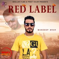 Mandeep Brar mp3 songs download,Mandeep Brar Albums and top 20 songs download