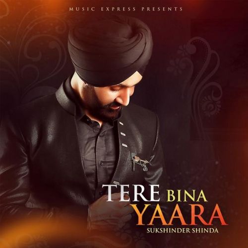 Download Tere Bina Yaara Sukshinder Shinda, Neetu Bhalla mp3 song, Tere Bina Yaara Sukshinder Shinda, Neetu Bhalla full album download