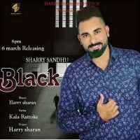 Sharry Sandhu mp3 songs download,Sharry Sandhu Albums and top 20 songs download