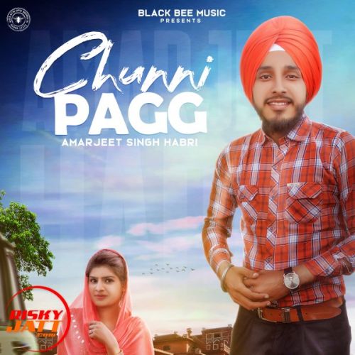Download Chunni Pagg Amarjeet Singh Habri mp3 song, Chunni Pagg Amarjeet Singh Habri full album download