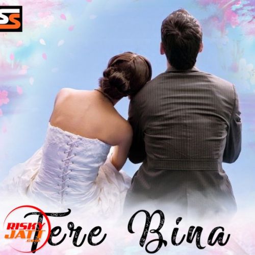 Tere Bin Mp3 Song Download