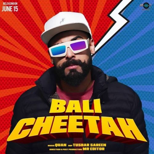 Download Cheetah Bali mp3 song, Cheetah Bali full album download