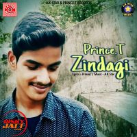 Prince T mp3 songs download,Prince T Albums and top 20 songs download