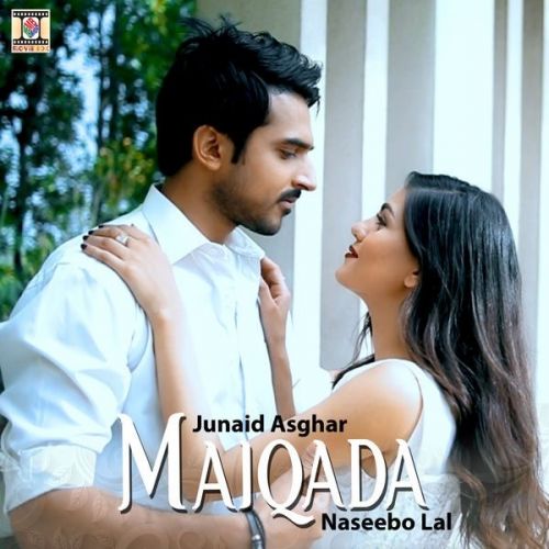 Download Maiqada Junaid Asghar, Naseebo Lal mp3 song, Maiqada Junaid Asghar, Naseebo Lal full album download