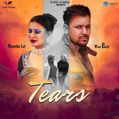 Download Tears Veet Baljit, Naseebo Lal mp3 song, Tears Veet Baljit, Naseebo Lal full album download