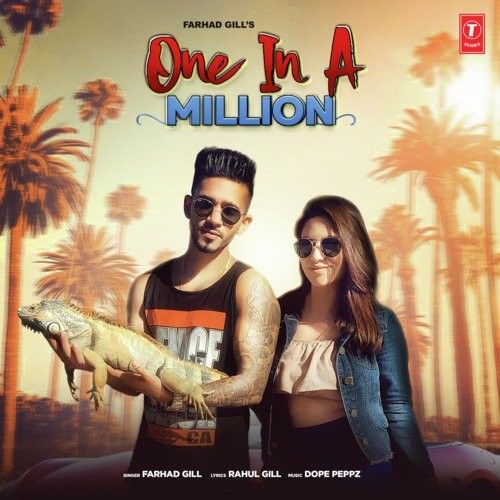 Download One In A Million Farhad Gill mp3 song, One In A Million Farhad Gill full album download