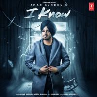 Amar Sandhu and Neetu Bhalla mp3 songs download,Amar Sandhu and Neetu Bhalla Albums and top 20 songs download