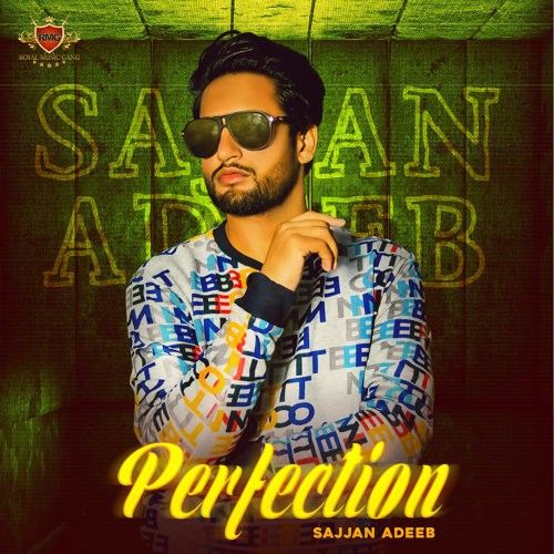 Download Perfection Sajjan Adeeb mp3 song, Perfection Sajjan Adeeb full album download