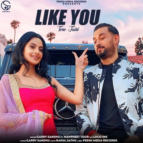 Download Like U (Tere Jaisi) Garry Sandhu mp3 song