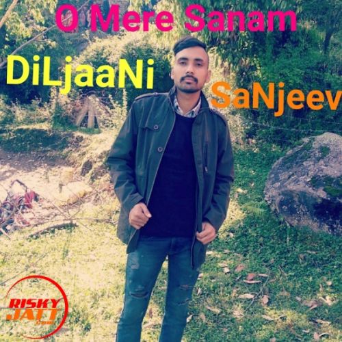 O Mere Sanam Lyrics by DiLjaaNi SaNjeev