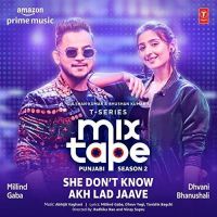 Millind Gaba and Dhvani Bhanushali mp3 songs download,Millind Gaba and Dhvani Bhanushali Albums and top 20 songs download
