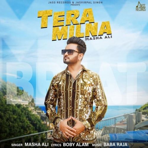 Download Tera Milna Masha Ali mp3 song, Tera Milna Masha Ali full album download