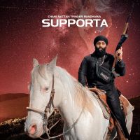 Pinder Randhawa mp3 songs download,Pinder Randhawa Albums and top 20 songs download