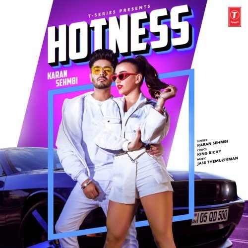 Download Hotness Karan Sehmbi mp3 song, Hotness Karan Sehmbi full album download