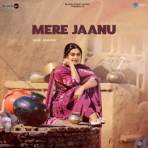 Download Mere Jaanu Nisha Bano mp3 song, Mere Jaanu Nisha Bano full album download