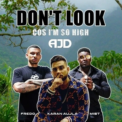 Download Dont Look x So High (Remix) AJD, Karan Aujla, MIST, Fredo mp3 song, Dont Look x So High (Remix) AJD, Karan Aujla, MIST, Fredo full album download