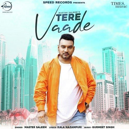Download Tere Vaade Master Saleem mp3 song, Tere Vaade Master Saleem full album download
