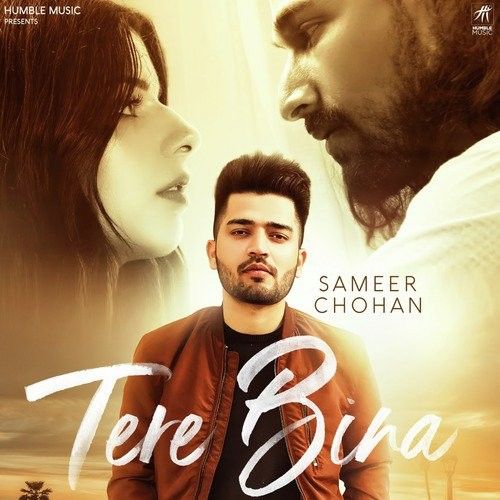 Download Tere Bina Sameer Chohan mp3 song, Tere Bina Sameer Chohan full album download