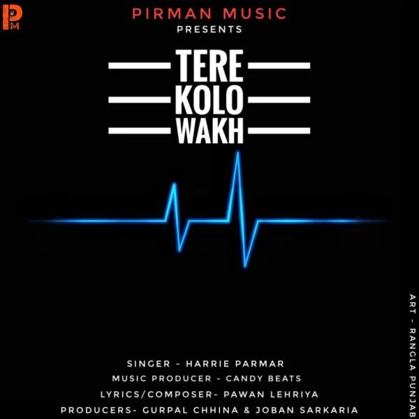Download Tere Kolo Wakh Harrie Parmar mp3 song