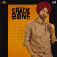 Sukh Sunami mp3 songs download,Sukh Sunami Albums and top 20 songs download