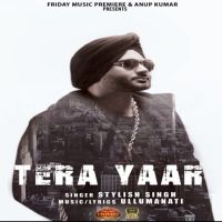 Stylish Singh mp3 songs download,Stylish Singh Albums and top 20 songs download