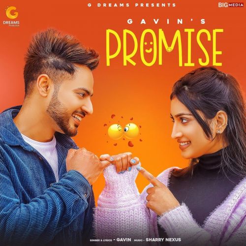 Download Promise Gavin mp3 song, Promise Gavin full album download