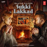 Master Saleem mp3 songs download,Master Saleem Albums and top 20 songs download