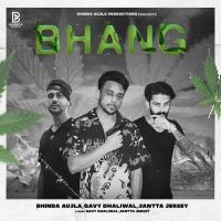 Bhinda Aujla and Gavy Dhaliwal mp3 songs download,Bhinda Aujla and Gavy Dhaliwal Albums and top 20 songs download