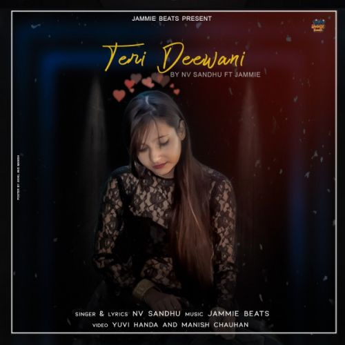 Download Teri Deewani Nv Sandhu mp3 song, Teri Deewani Nv Sandhu full album download