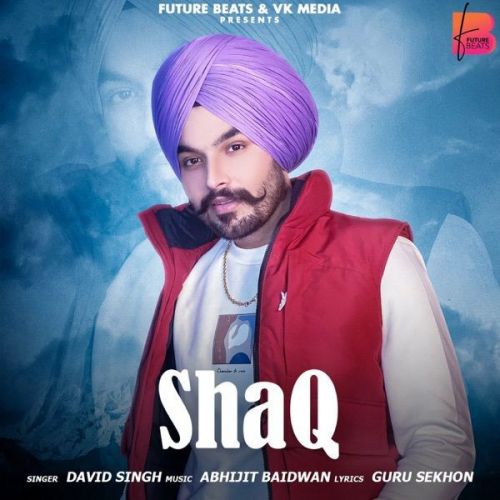 Download Shaq David Singh mp3 song, Shaq David Singh full album download