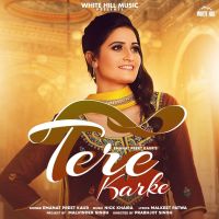 teri meri nibhi jandi tan karke mp3 teri meri nibhi jandi tan karke mp3