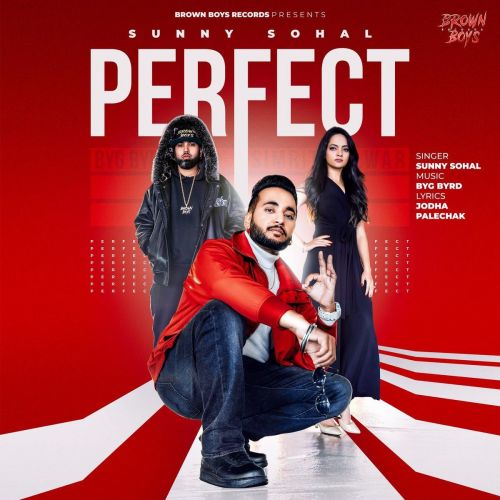 Download Perfect Sunny Sohal mp3 song, Perfect Sunny Sohal full album download