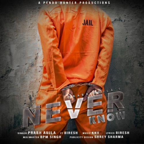 Download Never Know Prabh Aujla, Biresh mp3 song, Never Know Prabh Aujla, Biresh full album download