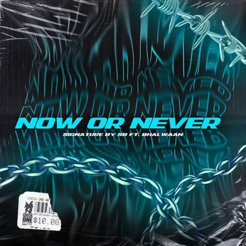 Now Or Never By Bhalwaan full mp3 album