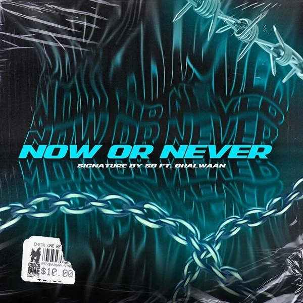 Download Now Or Never Bhalwaan mp3 song