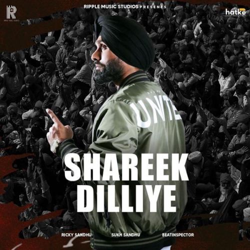 Download Shreek Dilliye Ricky Sandhu mp3 song, Shreek Dilliye Ricky Sandhu full album download