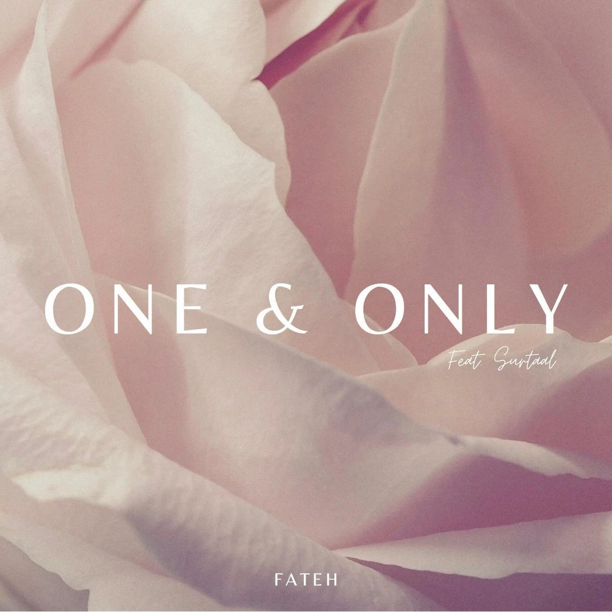 Download One And Only Fateh and Surtaal Singh mp3 song