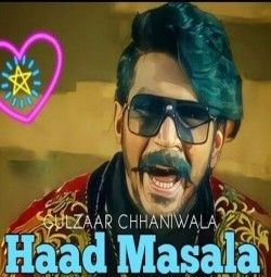 Download Haad Masala Gulzaar Chhaniwala mp3 song, Haad Masala Gulzaar Chhaniwala full album download