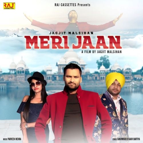 Download Meri Jaan Jagjit Malsihan mp3 song, Meri Jaan Jagjit Malsihan full album download