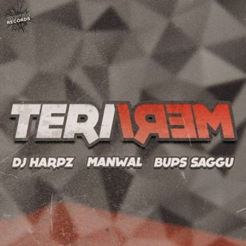 Download Teri Meri Manwal mp3 song, Teri Meri Manwal full album download
